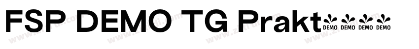 FSP DEMO TG Prakt字体转换 FSP DEMO TG Prakt字体转换